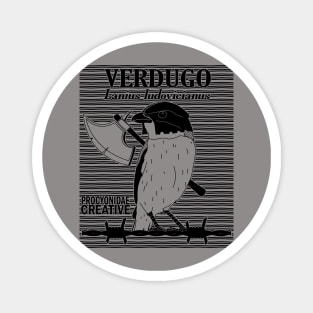 Alcaudon Verdugo Magnet